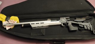 Hämmerli AR20 Pro Silber