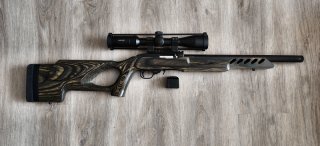 Ruger 10/22 Target .22lr – Laminat-Lochschaft & Hawke Zielfernrohr | Top Präzision