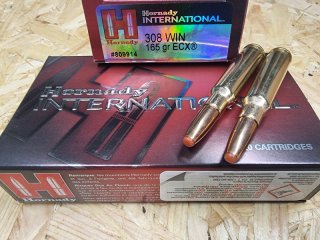 .308/165 ECX Bleifrei Hornady Outfitter 20 stk. No. 809914 #