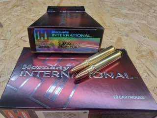 9,3x62/250grs. ECX Bleifrei Hornady International 20 stk. No. 823084
