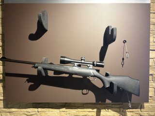 Sauer 202 XT Kal.: .30-06 mit Swarovski 2,5-10x56 und EAW Montage