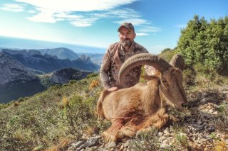 Mähnenschaf ohne Limit Spanien € 3900,-
