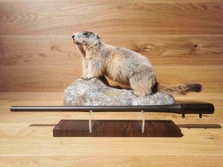 Blaser R8 Wechsellauf .17 HMR - 52cm - M15x1 incl. Verschlusskopf - Waffen Schlemmer Ingolstadt
