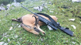 Murmel und Gamsjagd Tirol / Slowenien 2027