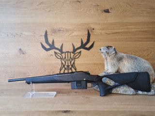 Blaser R8 Ultimate X 8x57IS - 42cm - M15x1 - Waffen Schlemmer Ingolstadt