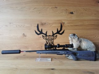 Winchester XPR Thumbhole .308Win - Minox Allrounder 2-10x50 - A-Tec Hertz 150 - Waffen Schlemmer