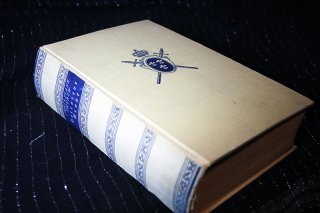 Verlorene Krone - Roman aus dem Jahre 1866 Christiane Thyrow
