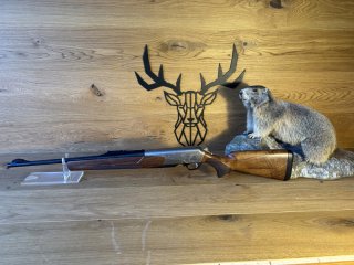 Browning BAR 4X Platinum Holzschaft .30-06 - 53cm - Waffen Schlemmer Ingolstadt