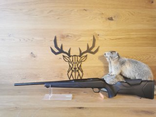 Blaser R8 Professional 2.0 .223Rem - 52cm - Schwarz - Waffen Schlemmer