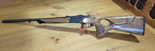 Blaser K95 Success