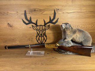 Winchester Mod. 94 Kal. .30-30 - Yellow Boy Indian 51cm - Waffen Schlemmer Ingolstadt