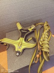 Niggolh Brustgeschier XL mit Schweißleine