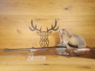 Blaser R93 Standard .308Win - 58cm - Seitenplatten Arabesque - Semi-Weight - Waffen Schlemmer
