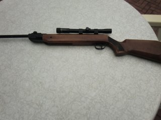 Diana Mod. 35