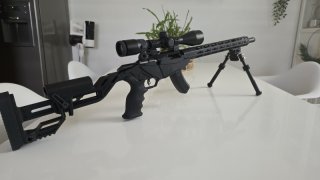 Ruger precision rimfire. 22