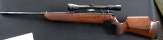Walther Jagd Match 22 Hornet