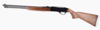 Winchester Modell 190 - .22LR - JSZ-Vogel