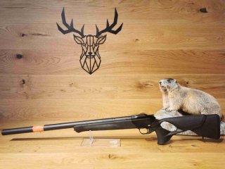 Blaser R8 Ultimate Silence .308Win - 47cm - Integralschalldämpfer - Waffen Schlemmer Ingolstadt