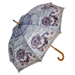 Regenschirm Motiv RauhaarDackel TECKEL DACKEL DACHSHUND Durchmesser = 105cm, Grifflänge 105cm HOLZ!