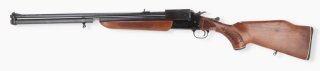 Savage 24v BBF - 20/76 und .222 Remington - JSZ-Vogel