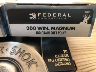 .300 Win Mag 180 grs SP Federal Power Shok 1 Los