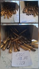 .223 Hülsen 170 Stück
