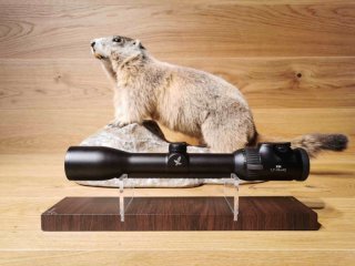 Zielfernrohr Swarovski Z6i 1,7-10x42 SR - Absehen 4A-I - Waffen Schlemmer