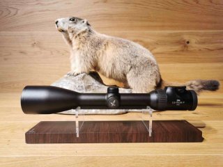 Zielfernrohr Swarovski Z6i 2,5-15x56 SR - Absehen 4A-I - Waffen Schlemmer