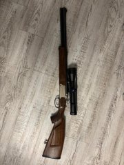 BBF Sauer/Blaser Mod. 97 Prestige, mit EL. Hornet