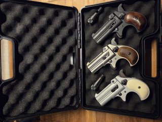 Twinny Derringer