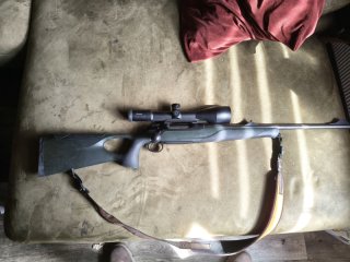 Sauer 404 Synchro XT Kal. 30-06 Springfield