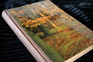 Solange noch die Wälder rauschen - Walter Merten