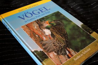 VÖGEL - In Garten Park und Wald Natur Erleben Andreas Schulze