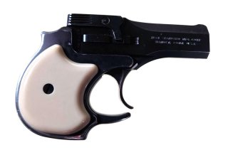 Derringer, High Standard, DM-101, .22WinMag
