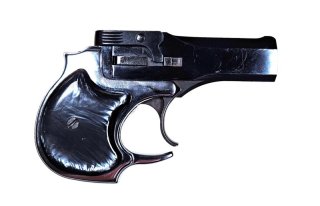 Derringer, High Standard, D-101, .22lr