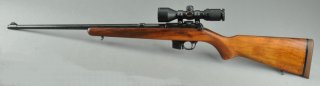 Selbstladebüchse CZ 581 Kal.: .22LR incl. Zielfernrohr