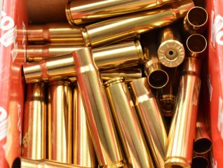 50 Hornady Hülsen .376 Steyr