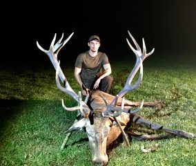 HIRSCHJAGD KEILERJAGD BARANJA KROATIEN