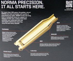 50 Stück NEUE NORMA .300 WSM Premium Cases Wiederladehülsen> 50er Packung | ohne Zünder #100023106