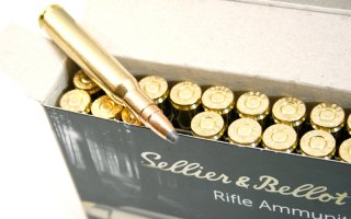20 Schuss S&B .30-06 Spr. SPCE 180gr 11,7g Teilmantel Scharfrand Geschoss Jagdmunition Schnitthaar
