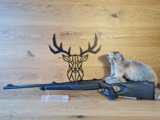 Sauer 404 Synchro XT .30-06 - 56cm - M15x1 - Gebraucht - Waffen Schlemmer Ingolstadt