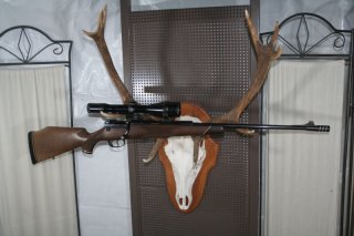 Mauser 66S Teleskopverschluss Kal 8x68S mit Zeiss 2,5-10x52 T* Deutsche Magnum