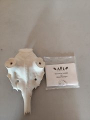 Kunstschädel zum Aufsetzen der Abwurfstangen Damwild ,Rosenstockdurchmesser 33 mm