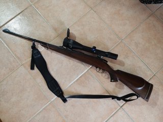 Sauer Weatherby Europa 8x68S