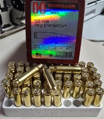 50St. Hornady 308 Win. Hülsen - 1x abgeschossen