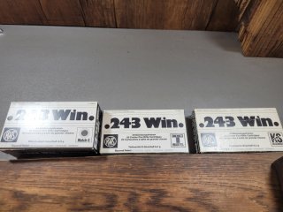 RWS Munition .243 Win. 80 Schuss