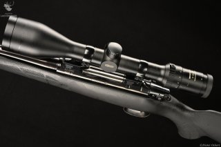 Ceska CZ Modell 550 Kaliber .30-06Spring