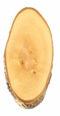 Trophäenbrett BIRKE natur ca. 42-45cm x 22cm Hirschschild Rotwild Hirsch Damwild Rothirsch Geweih
