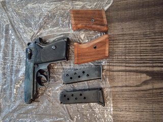 PPK Busch Umbau