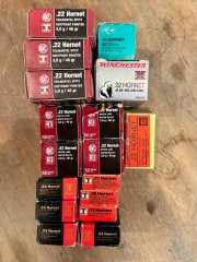 Munition .22Hornet Konvolut RWS MEN Winchester 396 Schuss TM MJ Teilmantel Matchjagd Super X